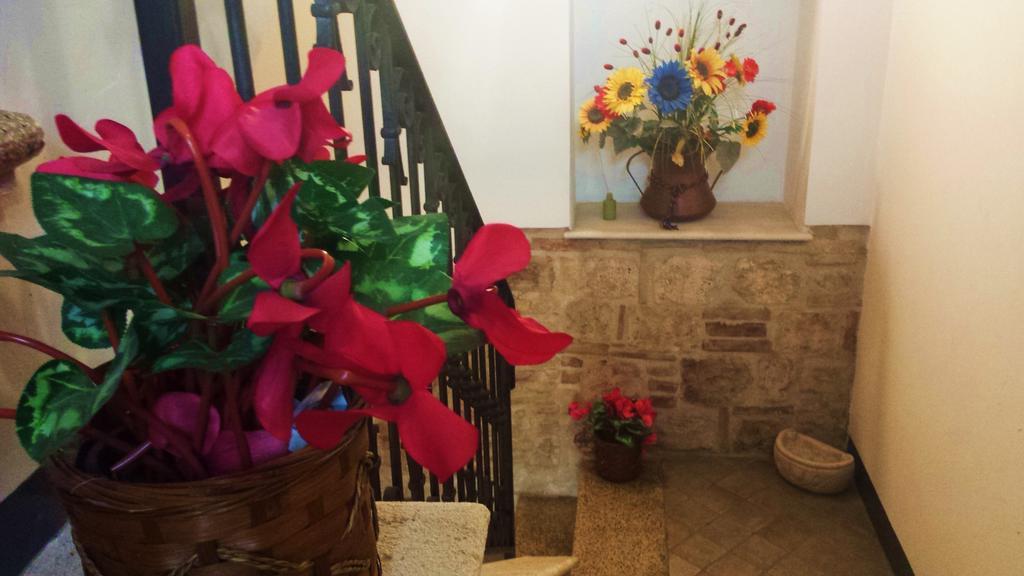 Il Ciclamino Bed&Breakfast Ascoli Piceno Esterno foto